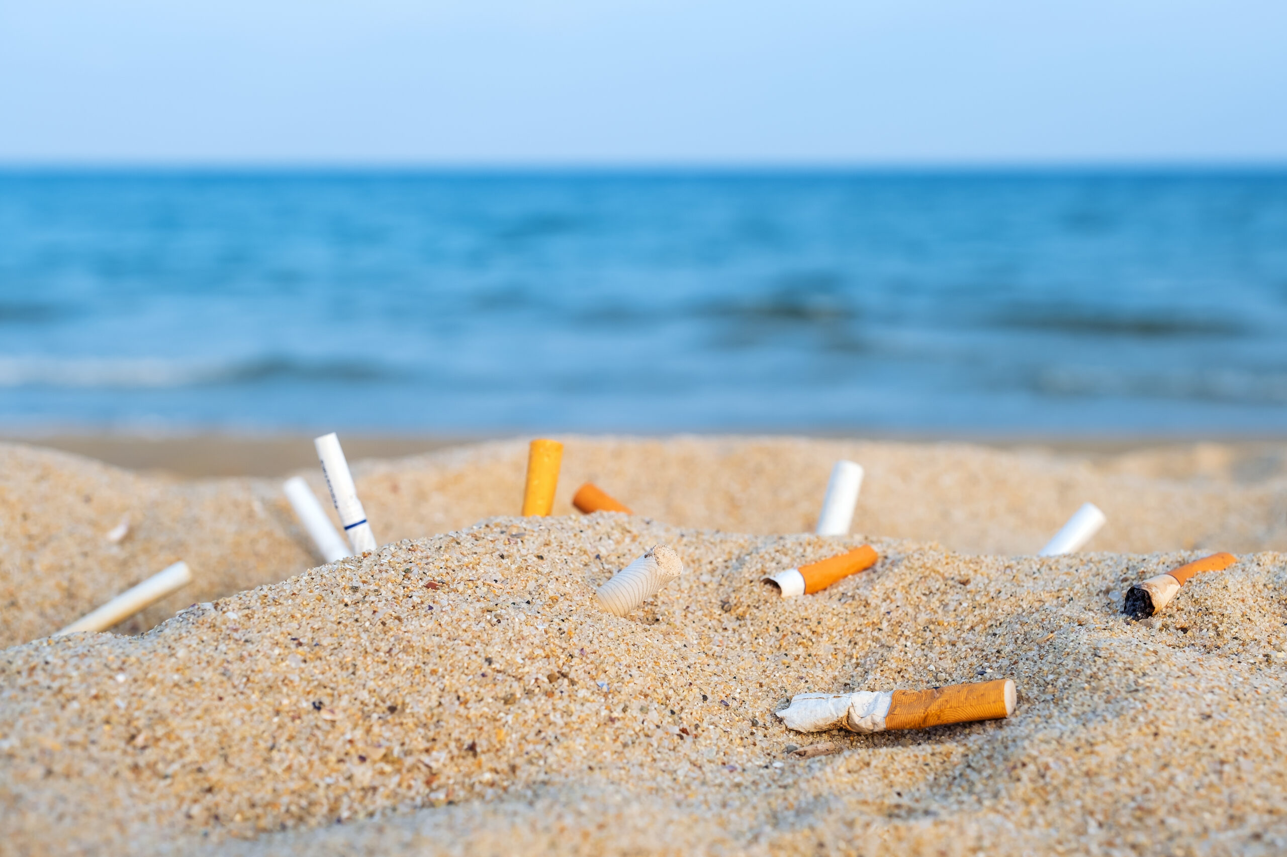 Cigarette,Butts,In,Yellow,Sand,On,Sea,Beach,On,Coast organic product for yatch