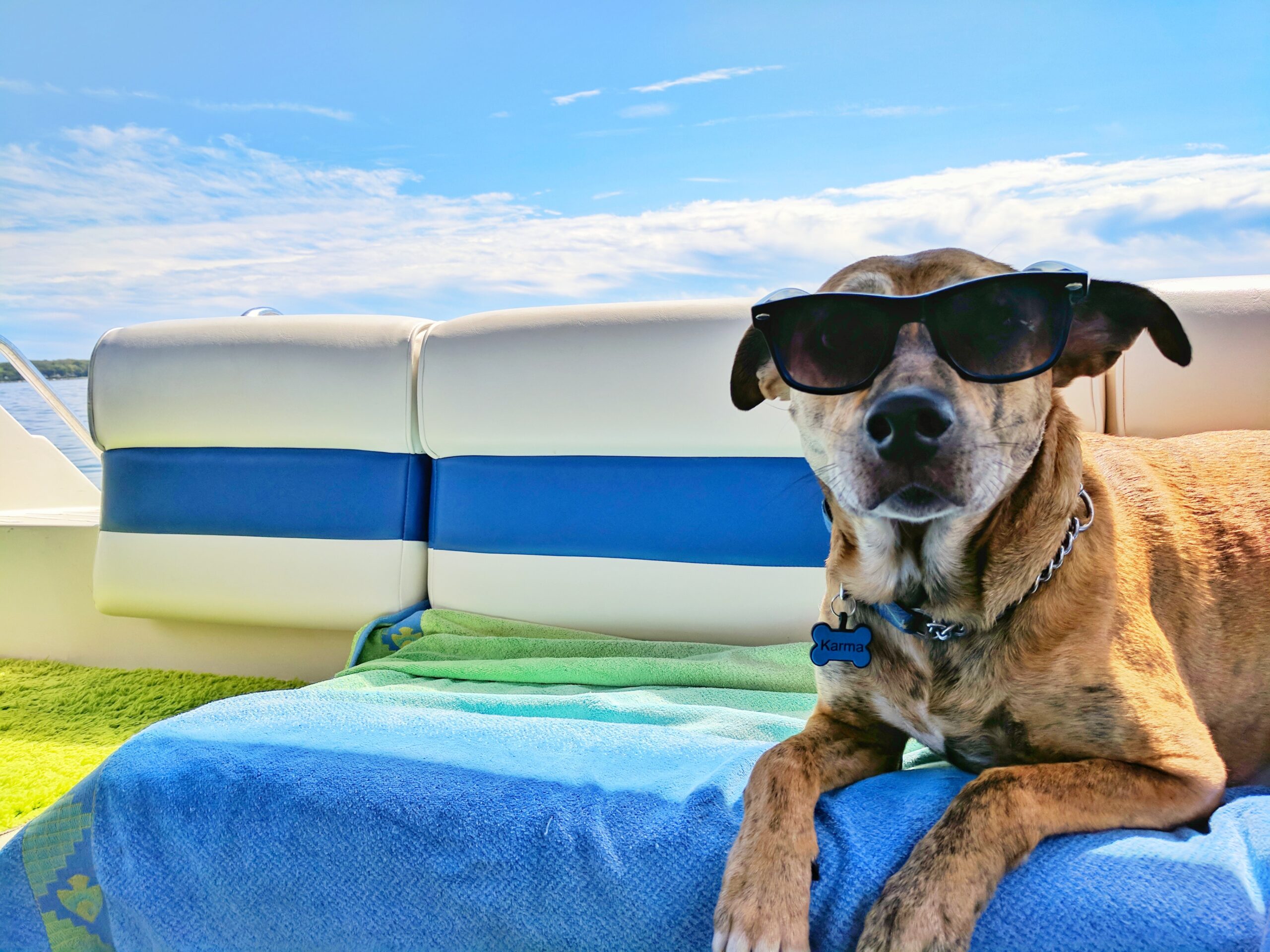 A dog on board a boat with some cool sunglasses on. He is the coolest dog. I would let him be the captain.